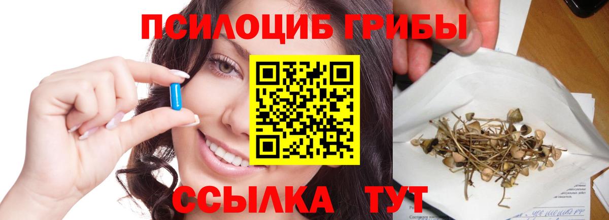 Комсомольск-на-Амуре  Галлюциногенные грибы мицелий  Галлюциногенные грибы Psilocybine cubensis  Вход с VPN 